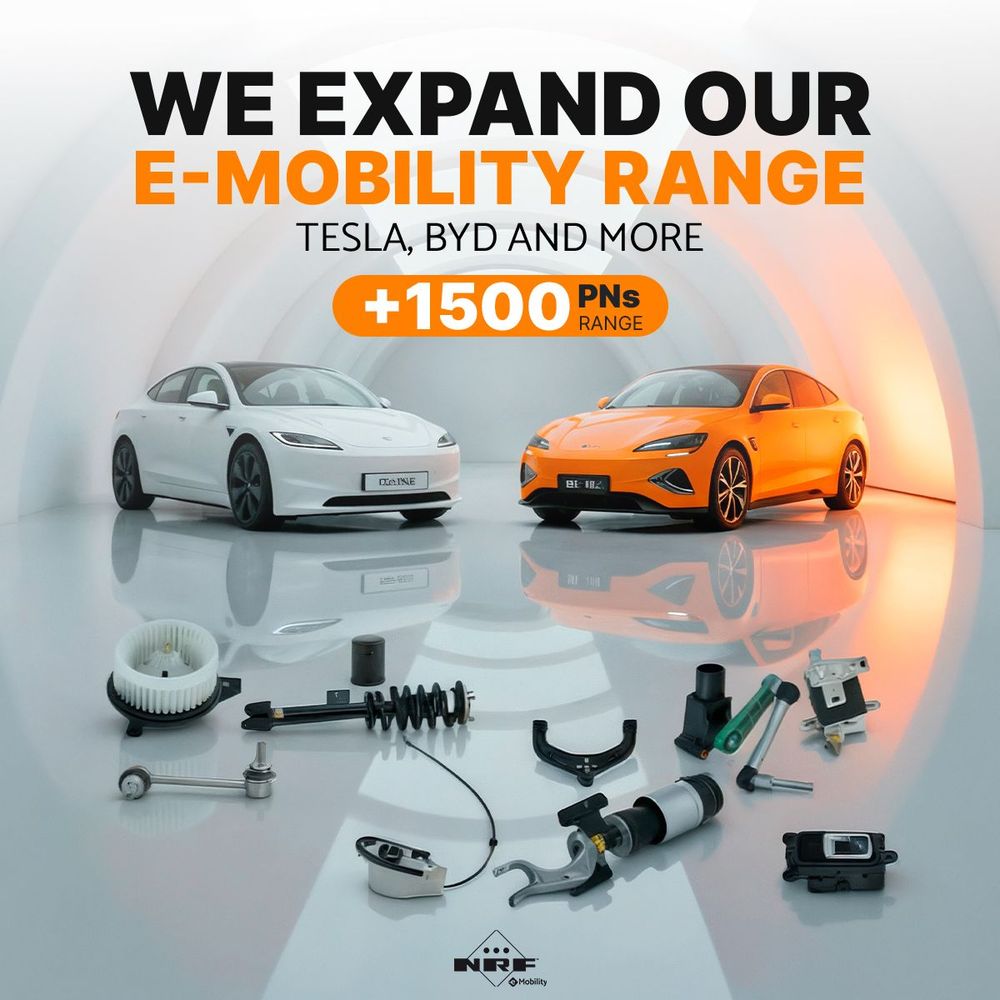 large_30_M_Post_E_Mobility_Byd_y_tesla_1_1_821afa42ed.jpg